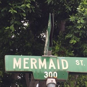 Meet your Posher, Chelsea